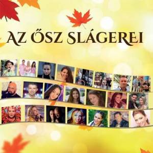  VA - Az &#336;sz Slagerei