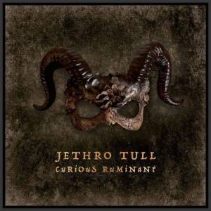  Jethro Tull - Curious Ruminant