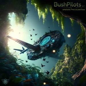  VA - Bush Pilots