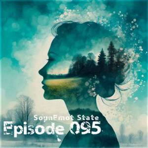  VA - SounEmot State [95]