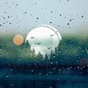  VA - Echoes In the Valley, Vol. 11