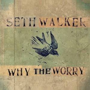  Seth Walker - Why The Worry