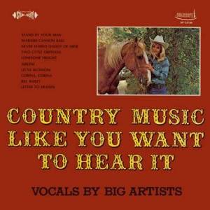  VA - Country Music Like You Want to Hear It 