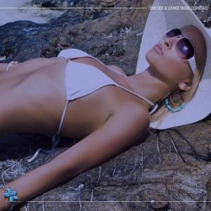  VA - Chillout & Lounge Music Essentials