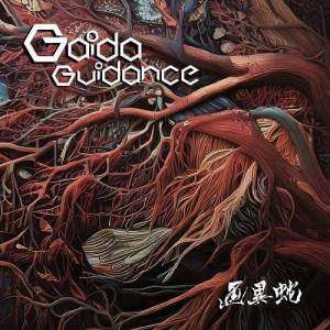  Gaida - Guidance