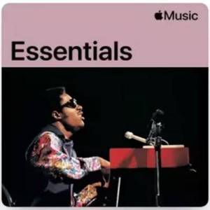  Stevie Wonder - Essentials
