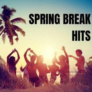  VA - Spring Break Hits
