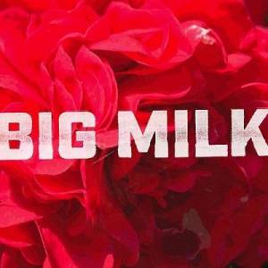 Kevin Moan & The Howling - Big Milk