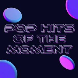 VA - Pop Hits of The Moment